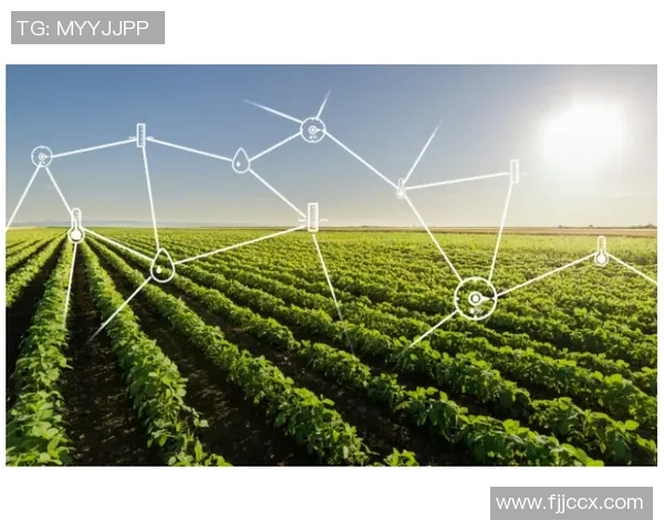 上海哔哩哔哩与山东视频下载的全面对比与使用体验分析