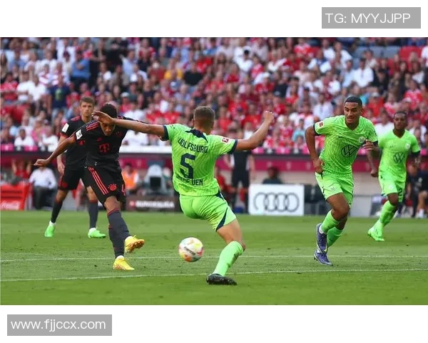 拜仁慕尼黑与沃尔夫斯堡历史交锋数据分析与战绩回顾 拜仁慕尼黑与沃尔夫斯堡历史交锋数据分析与战绩回顾