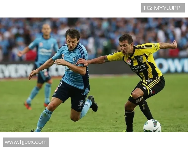 悉尼与阿德莱德激战回顾2020年1月4日精彩瞬间与赛后分析